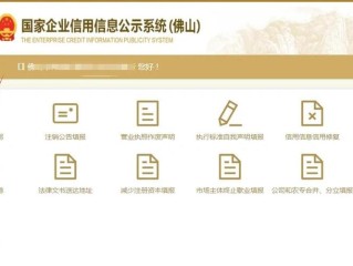 全国企业信息系统广东有何独特优势？