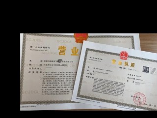 注册公司一个法人可以吗