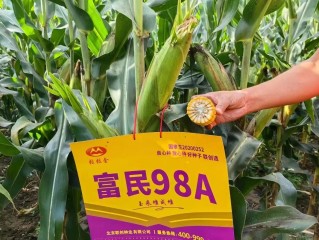 黑龙江民富怎么样