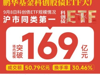 鹏华价值天天基金网