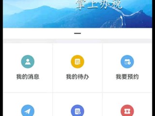 山东地方税务局网上办税平台怎么用？