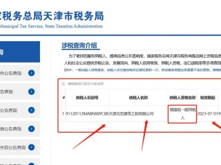 一般纳税人可注册地址