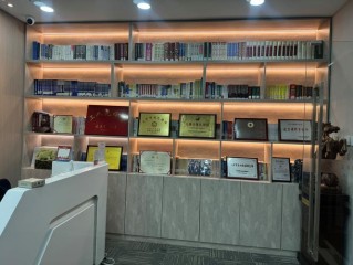 上海瑞隆企业管理咨询有何独特优势？