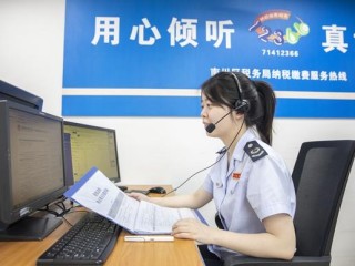 12366电子税务局重庆怎么用？