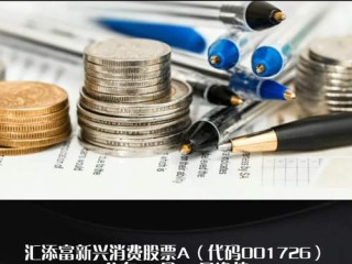 汇天富新兴消费基金