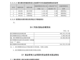 工银沪港深股票基金，港股配置如何？