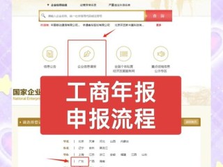 海南工商企业年报系统怎么用？