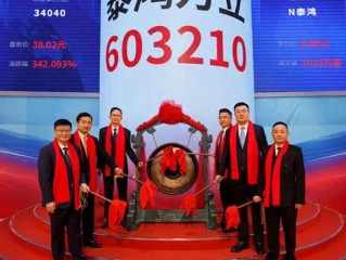 中新鸿泰基金业绩与风控能力如何？