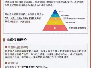 d级纳税人有哪些限制