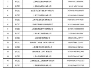 上海企业信息公示网站查什么信息？