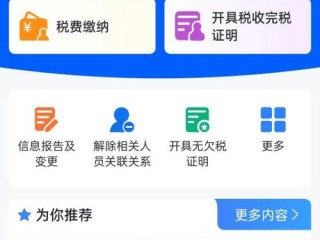 福建电子税务局网上申报系统