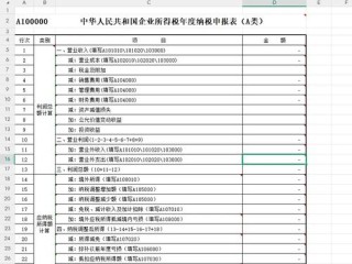 202510税务申报何时开始？