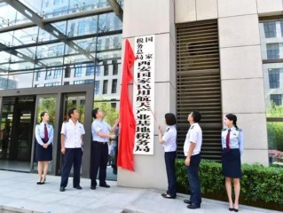 西安市国家税务局直属税务分局有何职责？