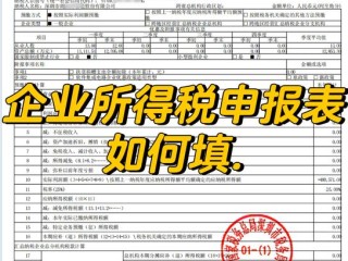 按季申报2月填哪些报表