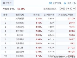 金融基金净值如何快速准确查询？