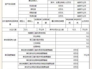 企业年报信息公示查询什么？