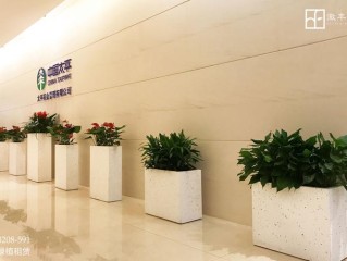 太平基金管理有限公司有何独特优势？