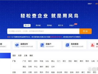 企业信息查询系统平台如何高效精准？