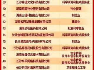 2025湖南企业排名哪家强？头部企业有哪些新变化？