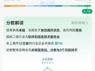 企业所有账户信息查询权限如何界定？