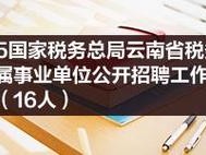 国家税务局云南省电子税务局有何功能？