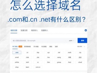 企业查询信息网站有哪些？