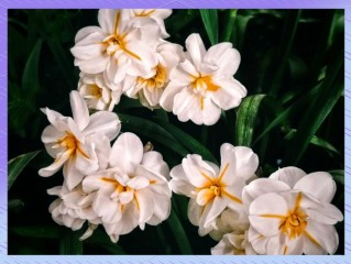 湖南省工商信息查询网如何精准查企业信息？