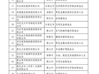 河北个体企业有哪些？