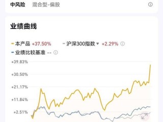 股票型基金净值怎么查？