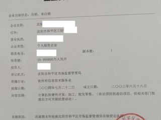 企业信息材料查询系统，如何高效精准查询？