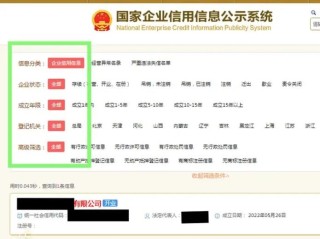 光网国家企业信息查什么？