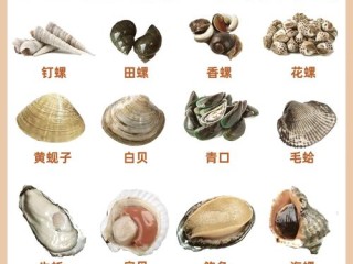 毛蛤的哪些地方吃不了