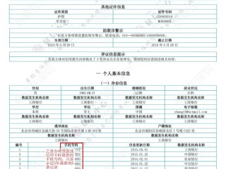 法人征信信息查询系统