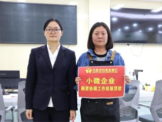 昭通企业信息查询系统怎么用？