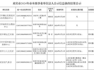 如何通过法人快速精准查询企业信息？