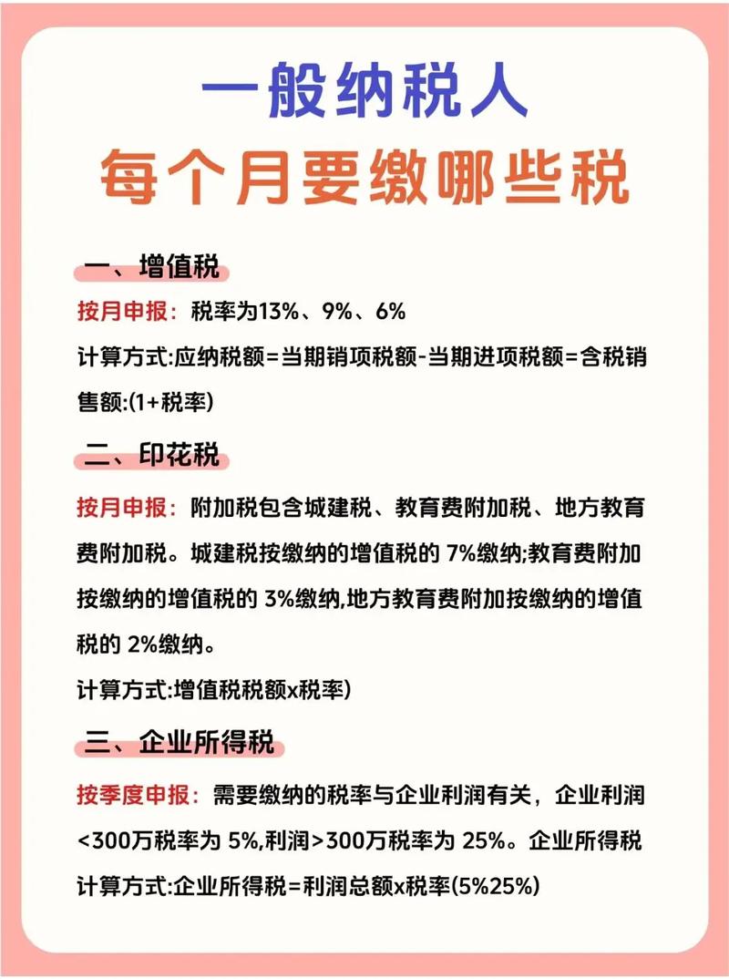 一般纳税人国税报哪些税