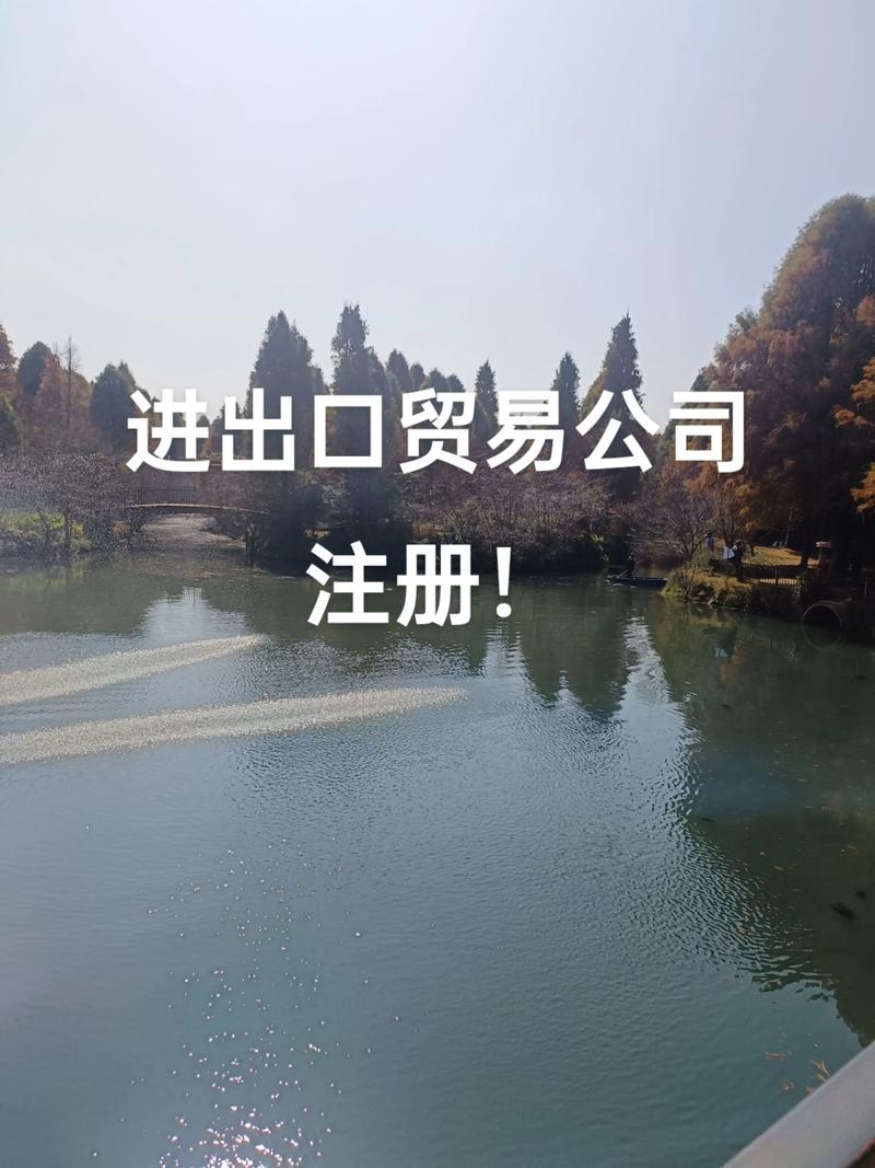 进出口贸易公司名注册