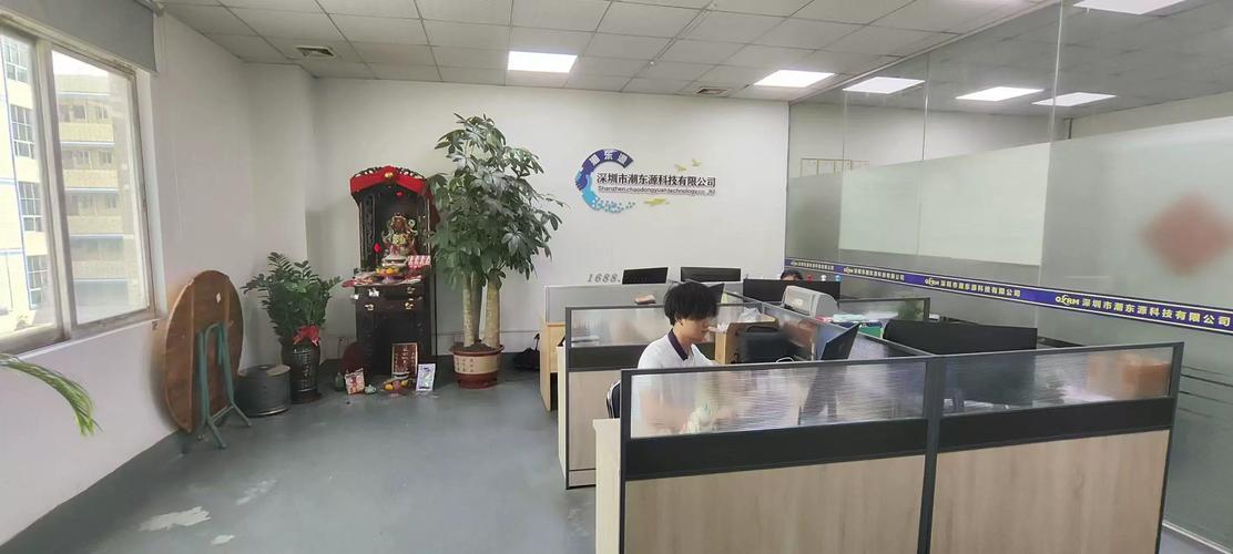 深圳看潮有限公司怎么样