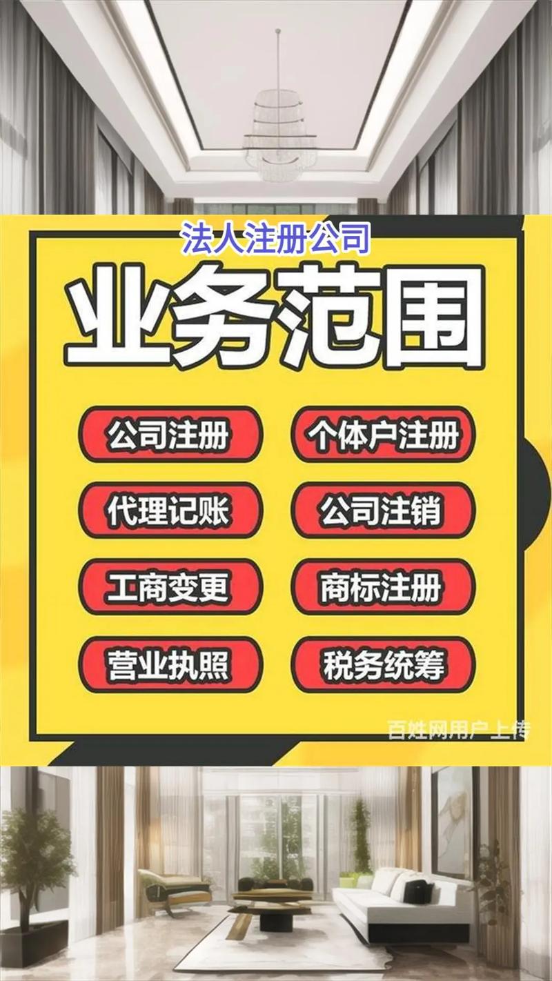注册公司法人代表nte