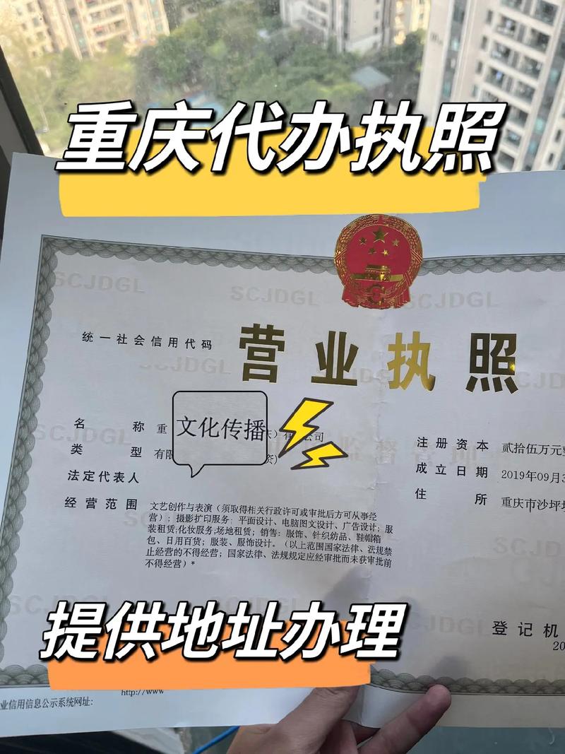 注册法人需要提供什么