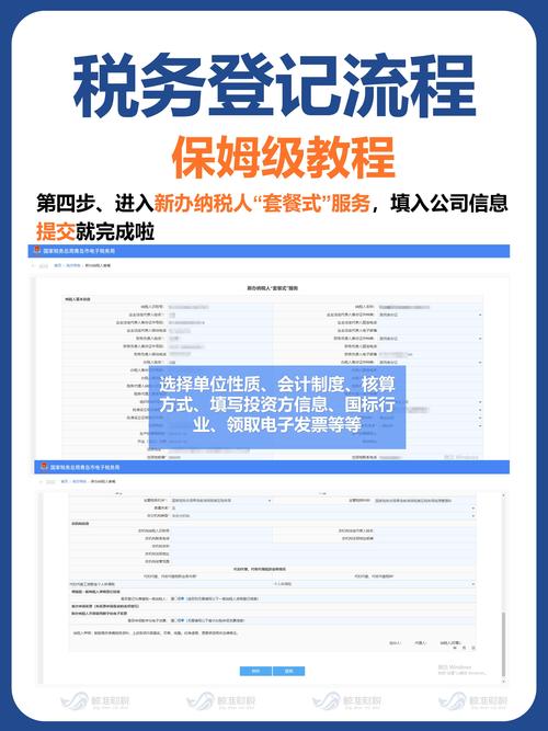 公司注册纳税信息登记