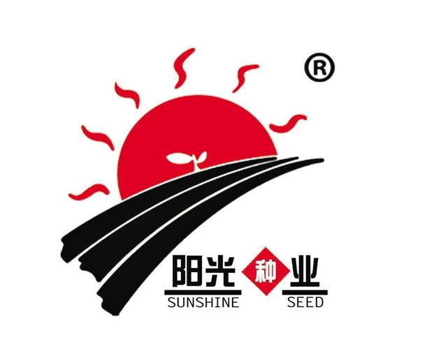 黑龙江阳光种业怎么样