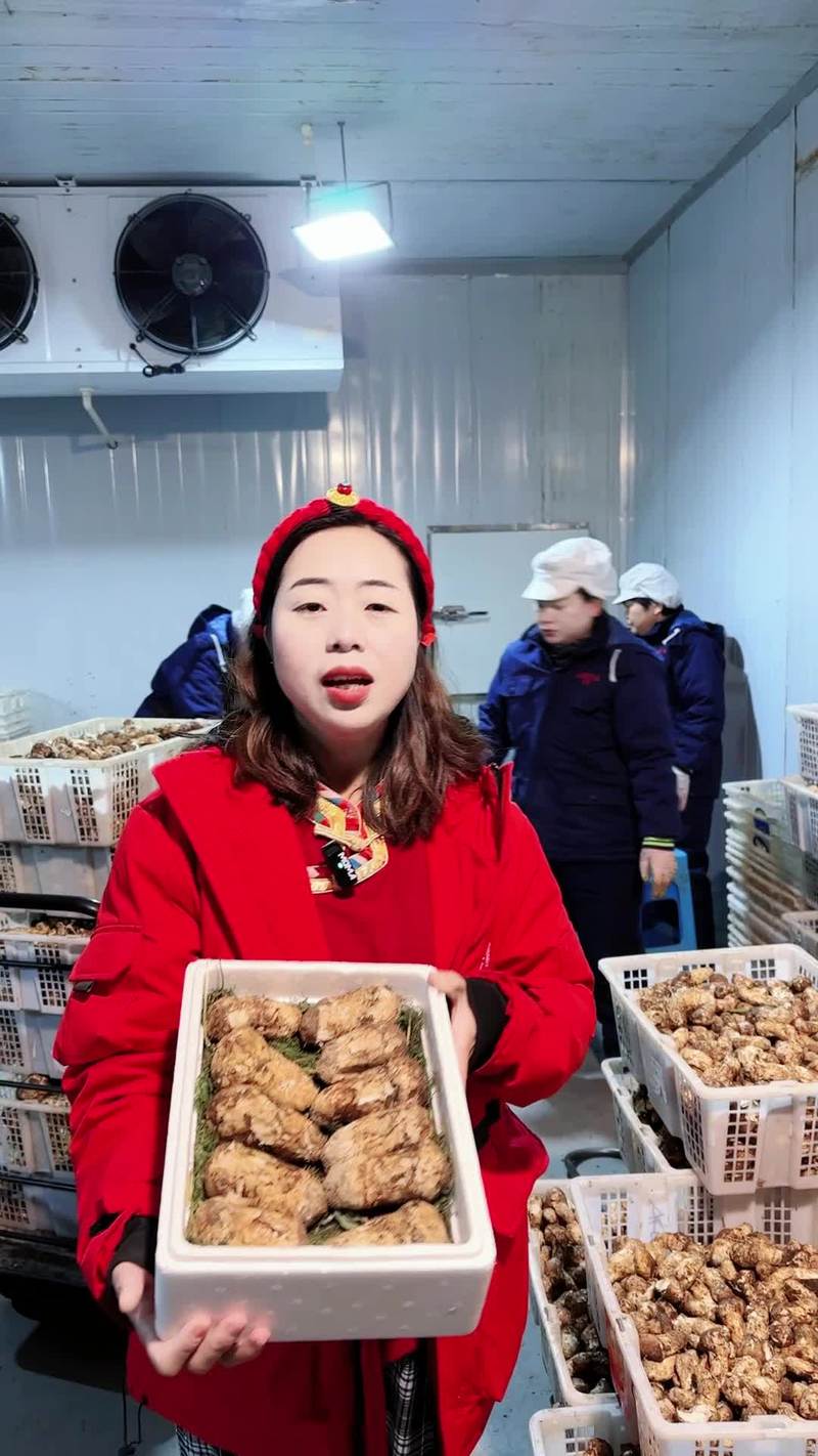 六安周谷堆怎么样