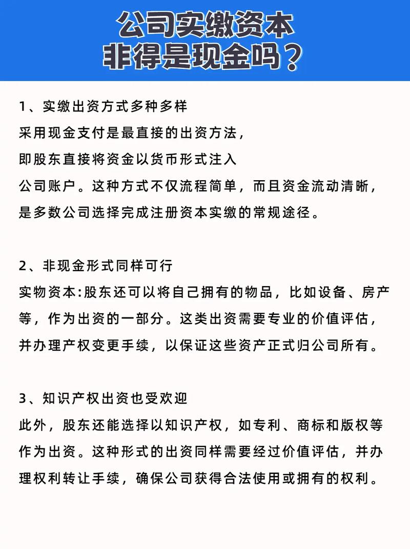 非银行金融机构交哪些税