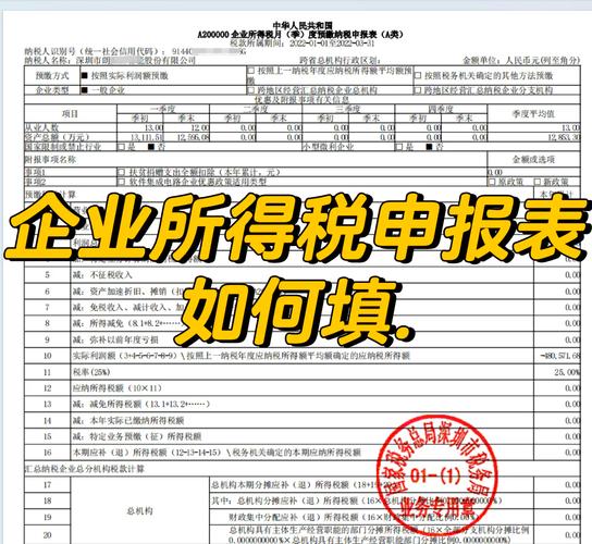 按季申报2月填哪些报表