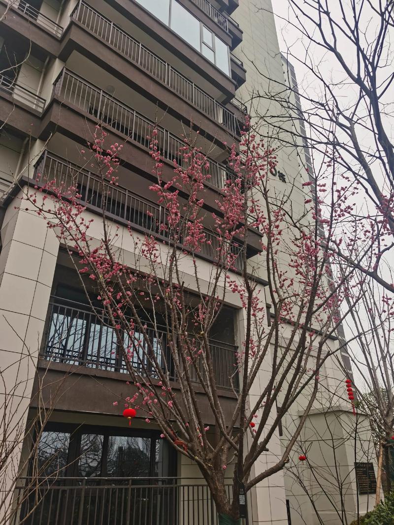 福州公元房产公司怎么样