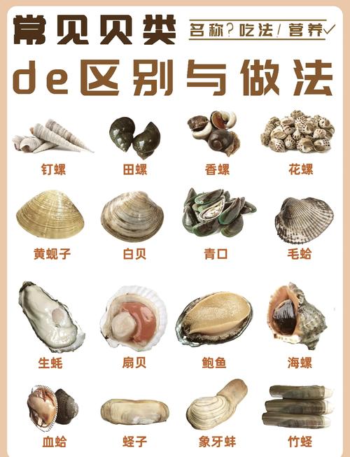 毛蛤的哪些地方吃不了