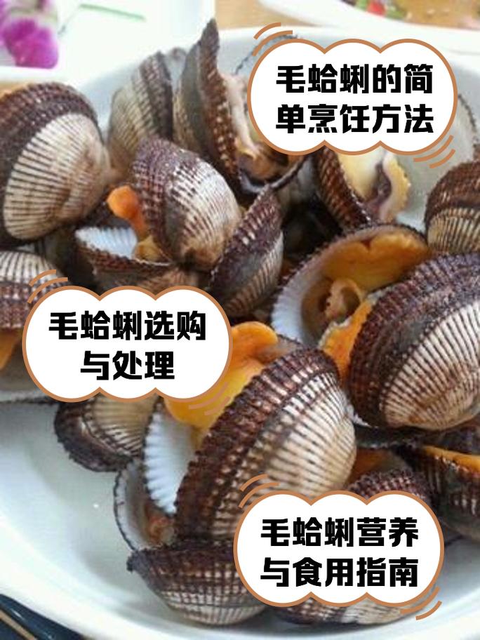 毛蛤的哪些地方吃不了