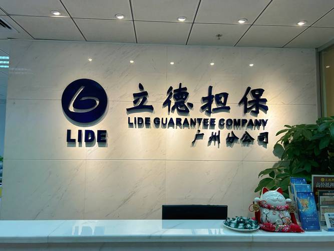 邦友投资担保公司怎么样