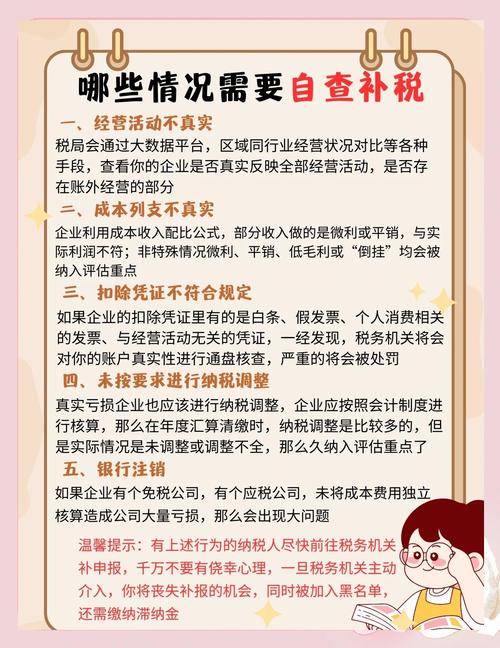 补申报个税带哪些资料